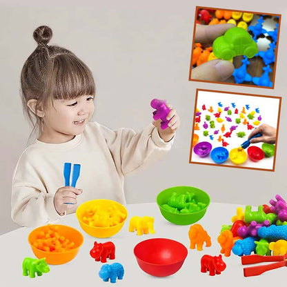 Jouet Montessori éducatif sensoriel pour le comptage et le tri